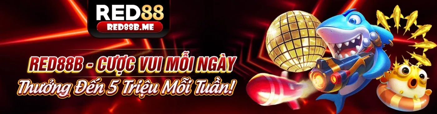 Tổng quan về ok365.vip - Nền tảng cá cược uy tín hàng đầu Việt Nam 2026