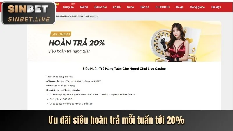 Ưu đãi độc quyền dành cho thành viên VIP ok365.vip